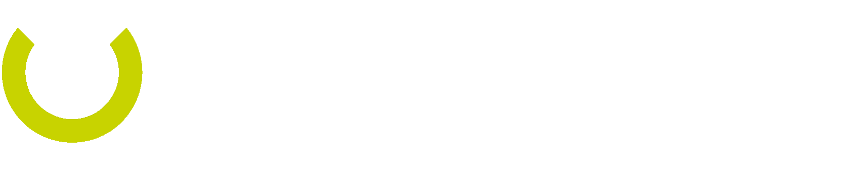 Das Logo von „repmaster“ mit einem grünen Symbol und dem Slogan „repariert meisterhaft“ in weißer Schrift.